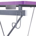 Scrivania da Gaming con Luci LED RGB – Nero / Bianco / Viola / Rosa, Utente Singolo